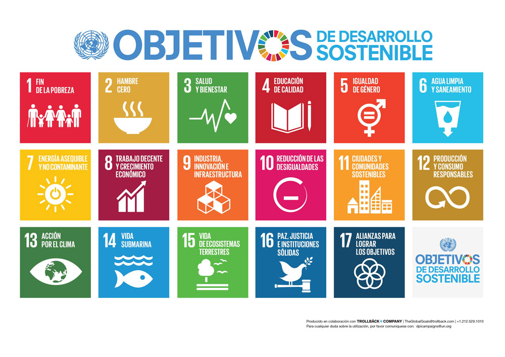 What are the Sustainable Development Goals?