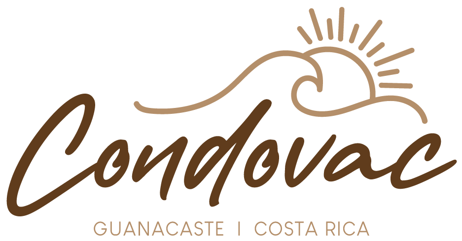 logo (4)